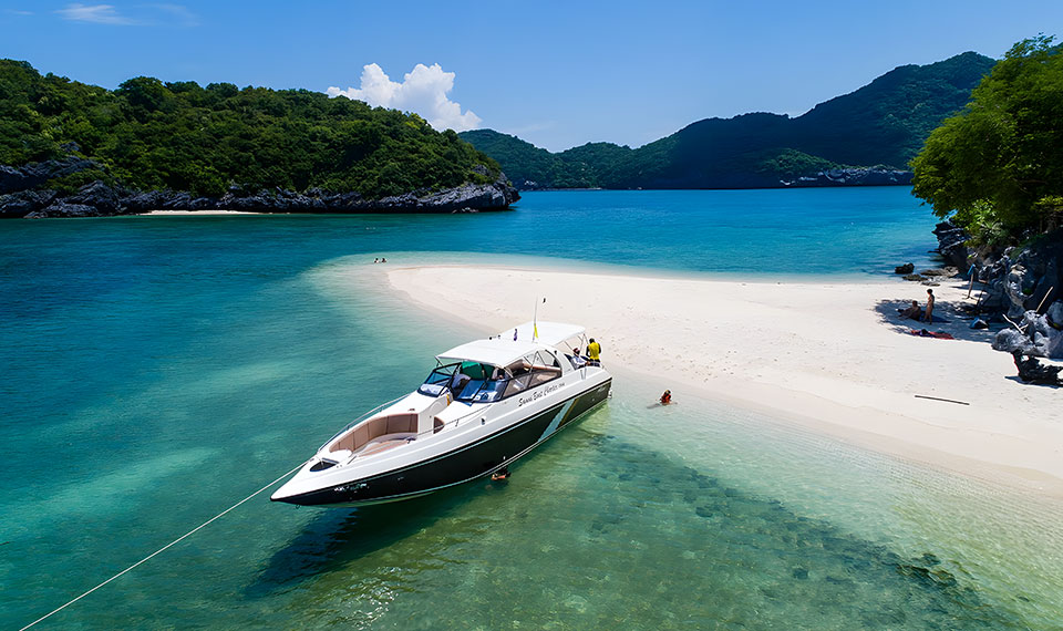 🌴 苏梅岛VIP涛岛 & 南园岛浮潜之旅 🌴