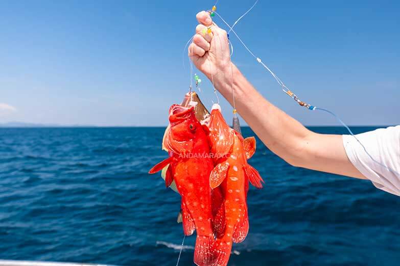 Nichakorn Fishing Boat Phuket – 尼沙恭 海钓船普吉岛 🚤