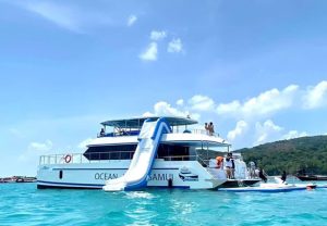 Ocean King 双体帆船包船-秋叶