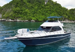 Ticha 专业海钓船包船-秋叶