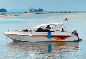 NPW 私人快艇包船-秋叶