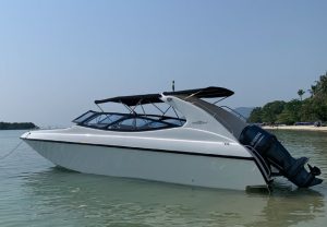 Perfect Day 私人快艇包船-秋叶