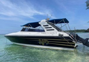 NP 私人快艇包船-秋叶