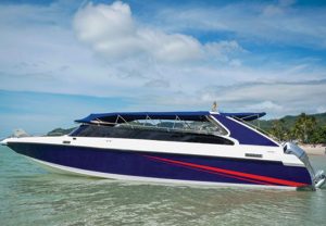 Perfect Boat 私人快艇包船-秋叶