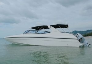 Perfect Seat 私人快艇包船-秋叶