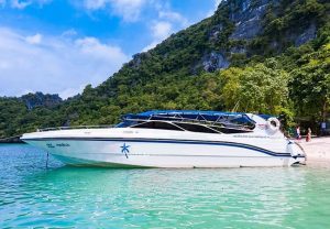 Happy 快艇 包船-秋叶