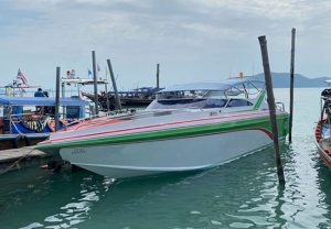 Tee 私人快艇包船-秋叶