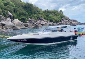 Sapphire VIP 私人快艇包船-秋叶