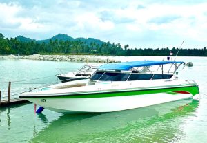 Phat 快艇包船-秋叶