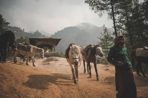 不丹 Amankora Paro Lodge 徒步旅行